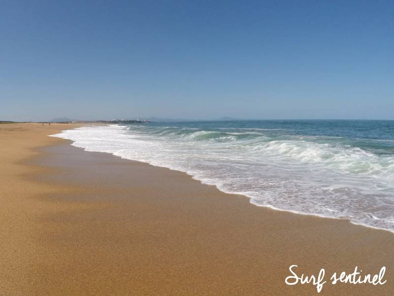 prevision vague anglet - y'a du surf anglet